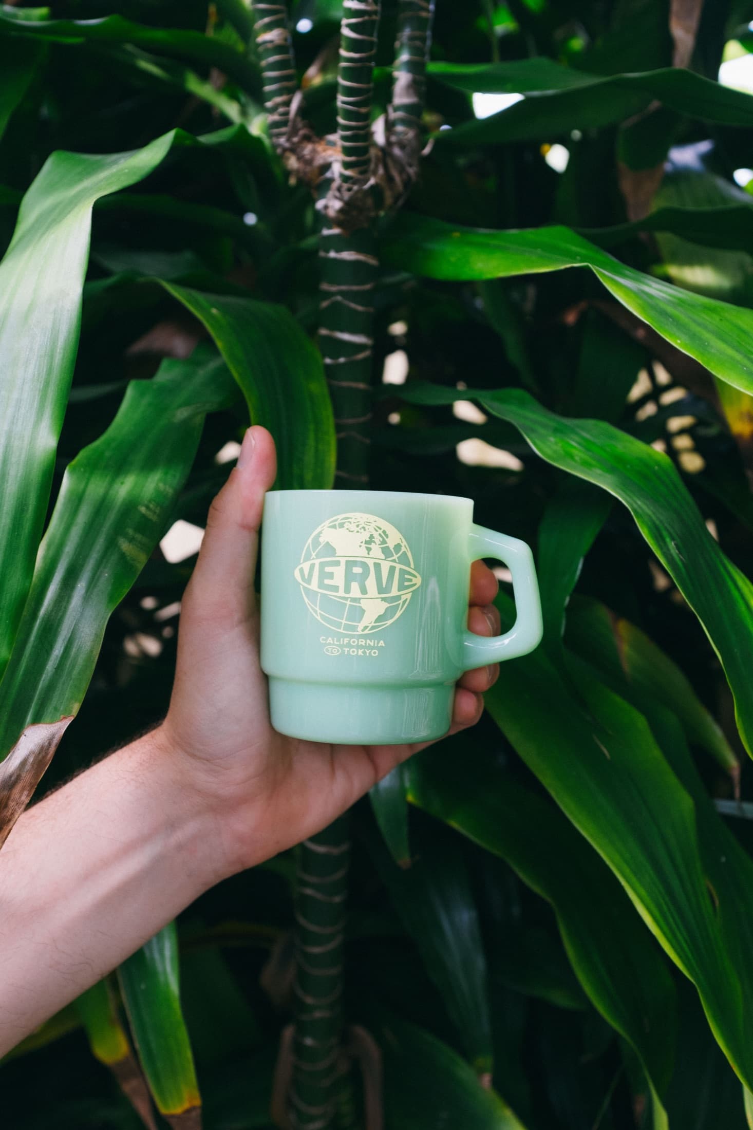 Custom Mugs for Coffee Shops and Retail Drops