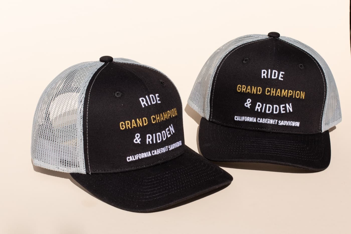 Ride & Ridden project detail