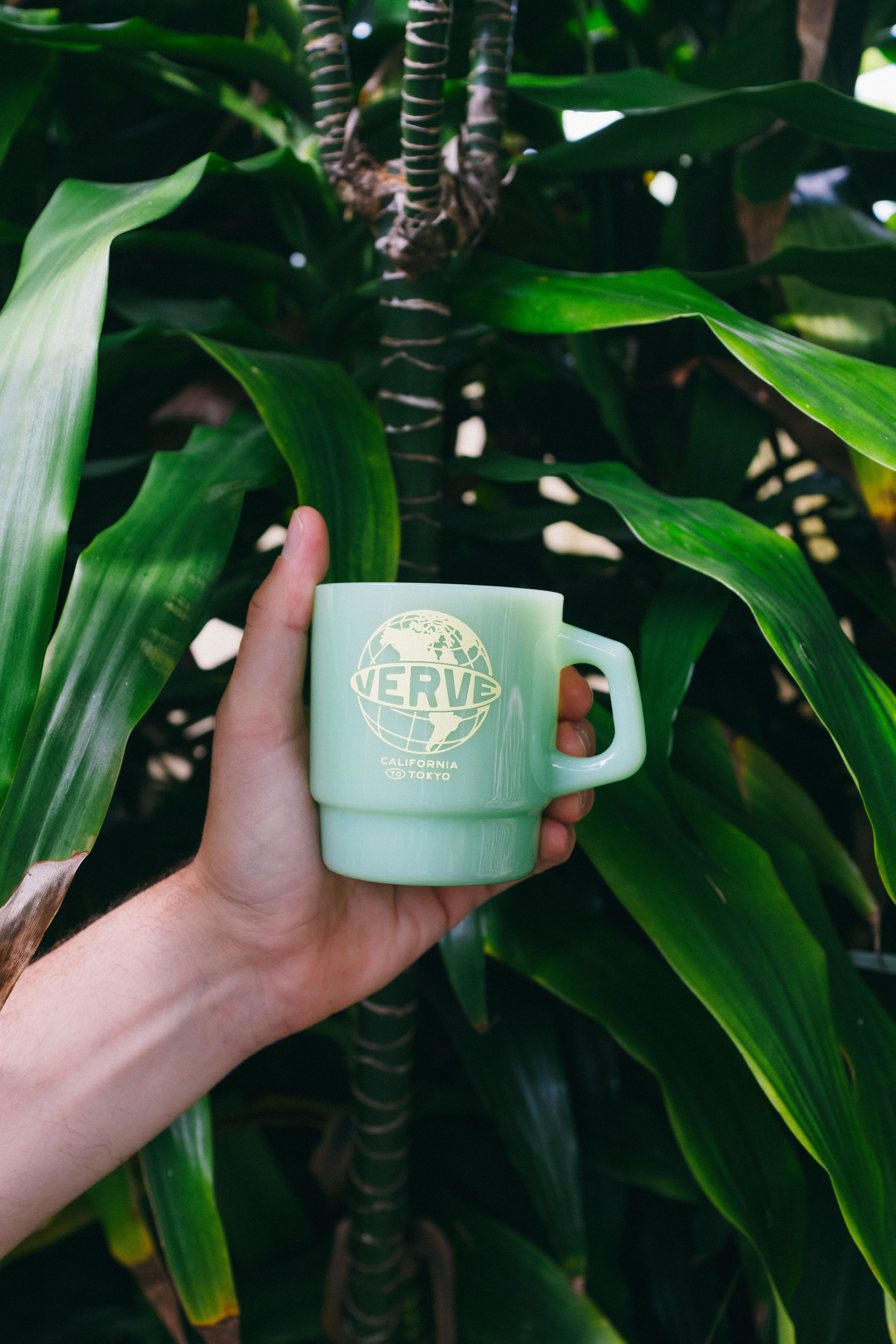 Verve Coffee — Milk Glass Mug